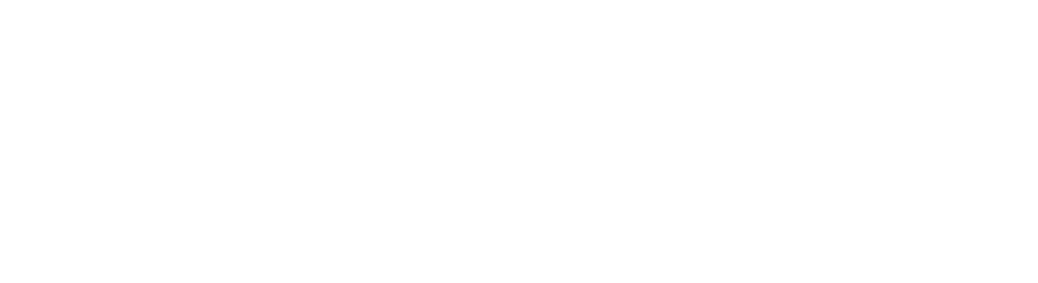 IFP — Insurances for Pilots